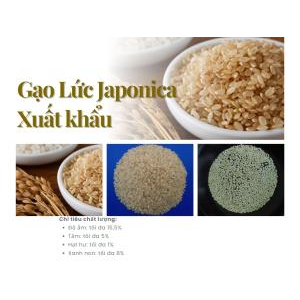 Công Ty TNHH Angimex - Kitoku